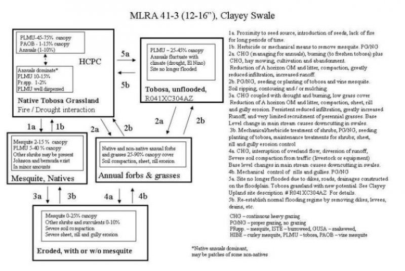 Model diagram