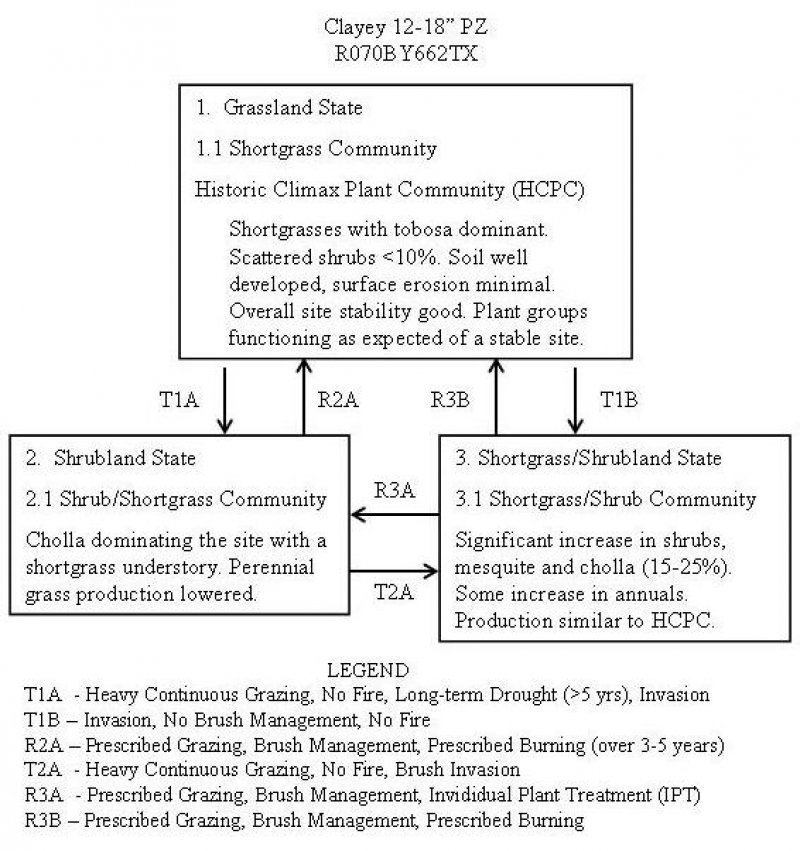 Model diagram