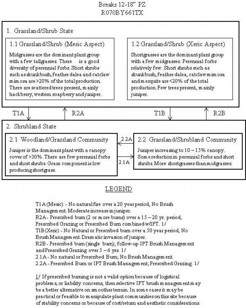 Model diagram