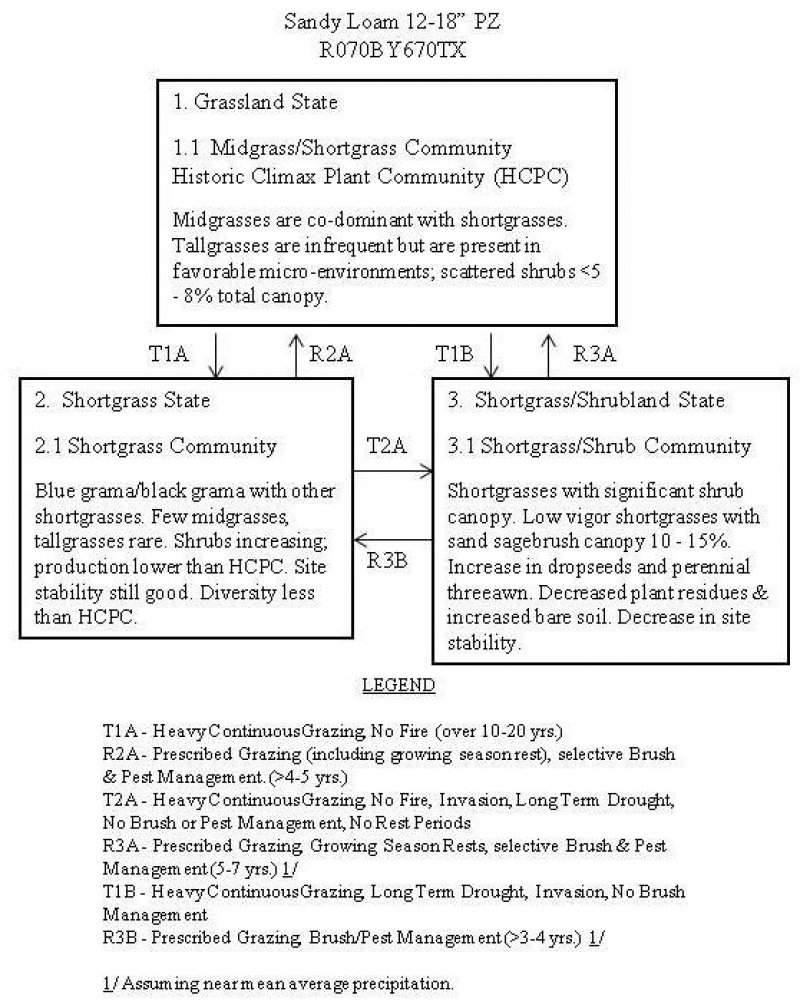 Model diagram