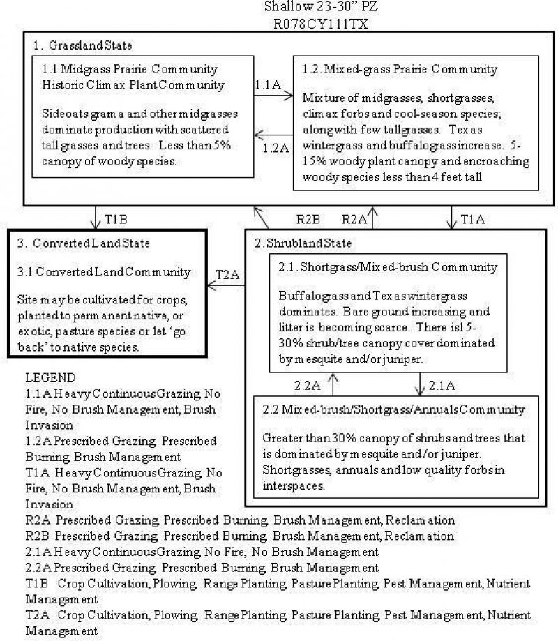 Model diagram