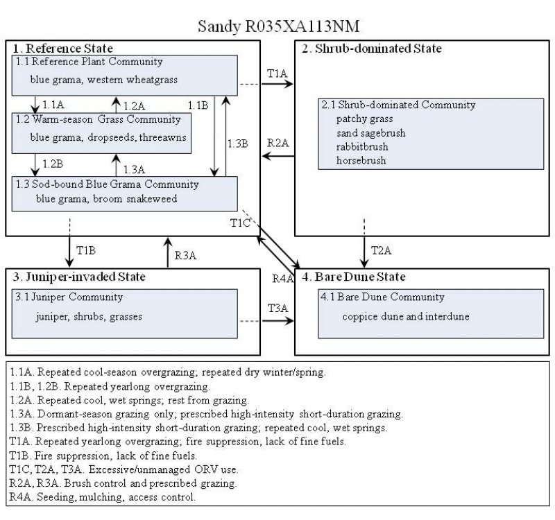 Model diagram