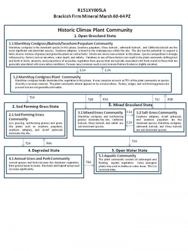 Model diagram