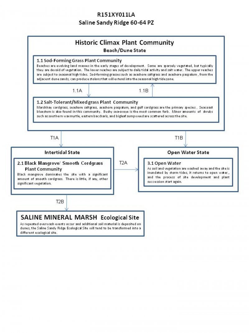 Model diagram
