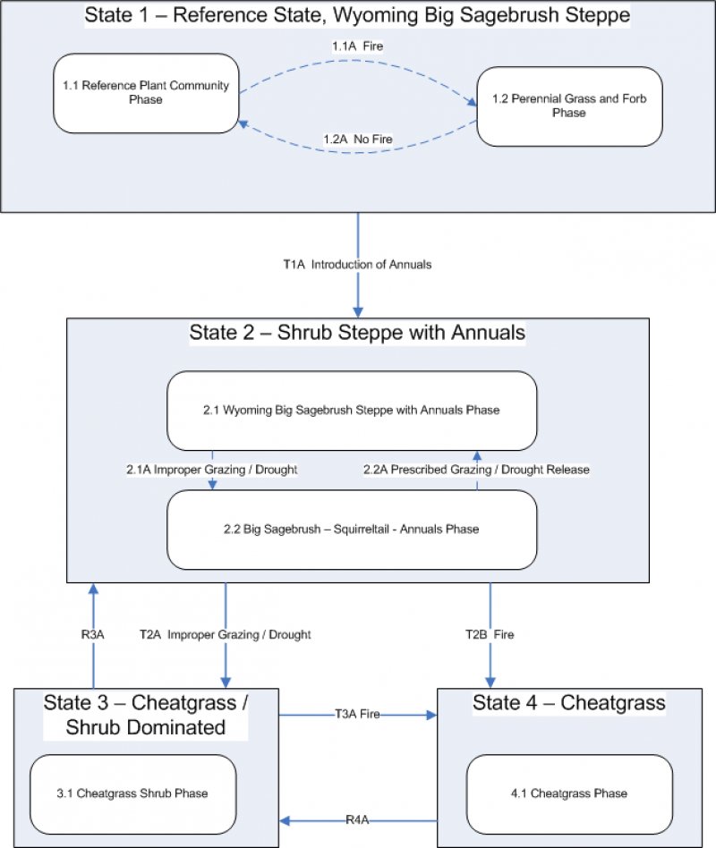 Model diagram