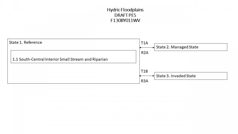 Model diagram
