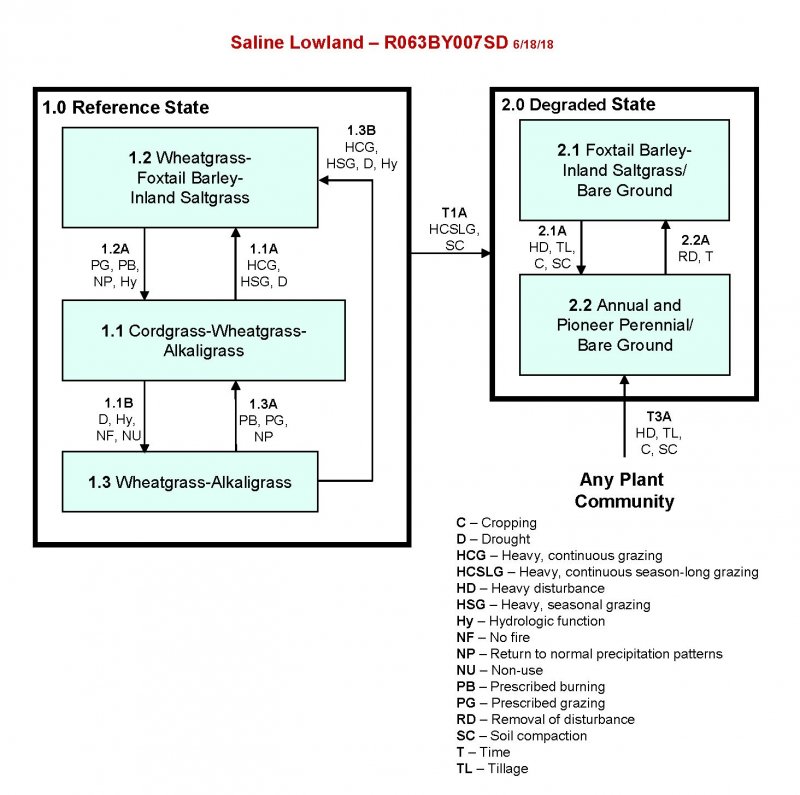 Model diagram
