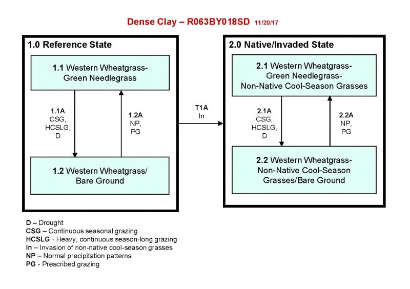 Model diagram