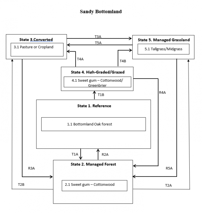 Model diagram