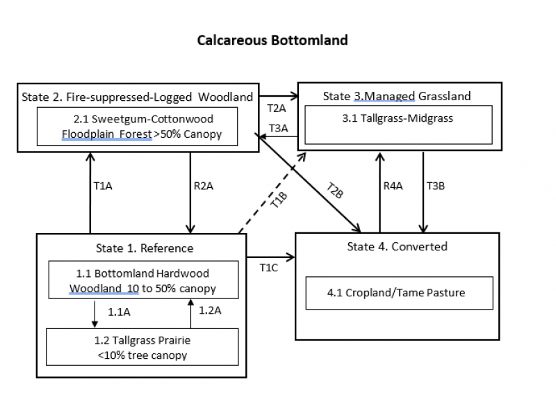 Model diagram