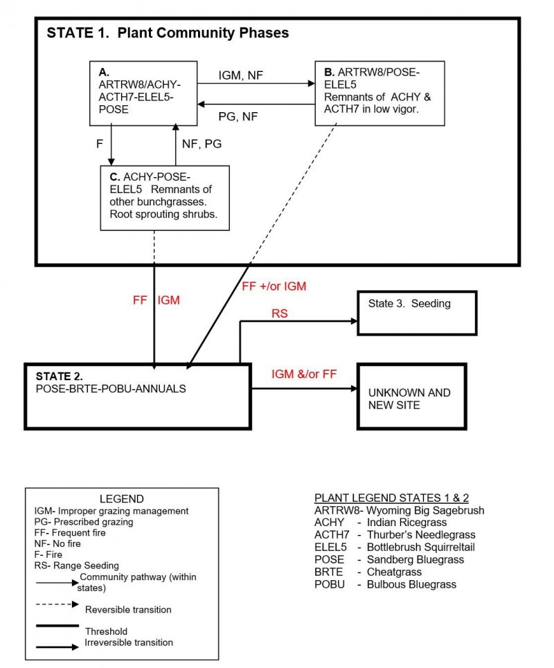 Model diagram