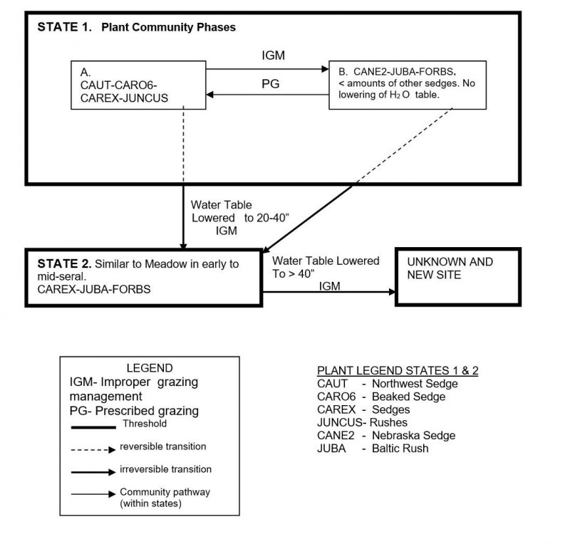 Model diagram