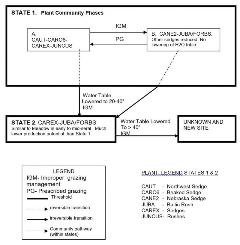Model diagram