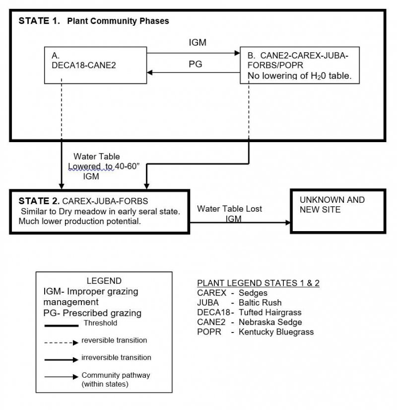 Model diagram