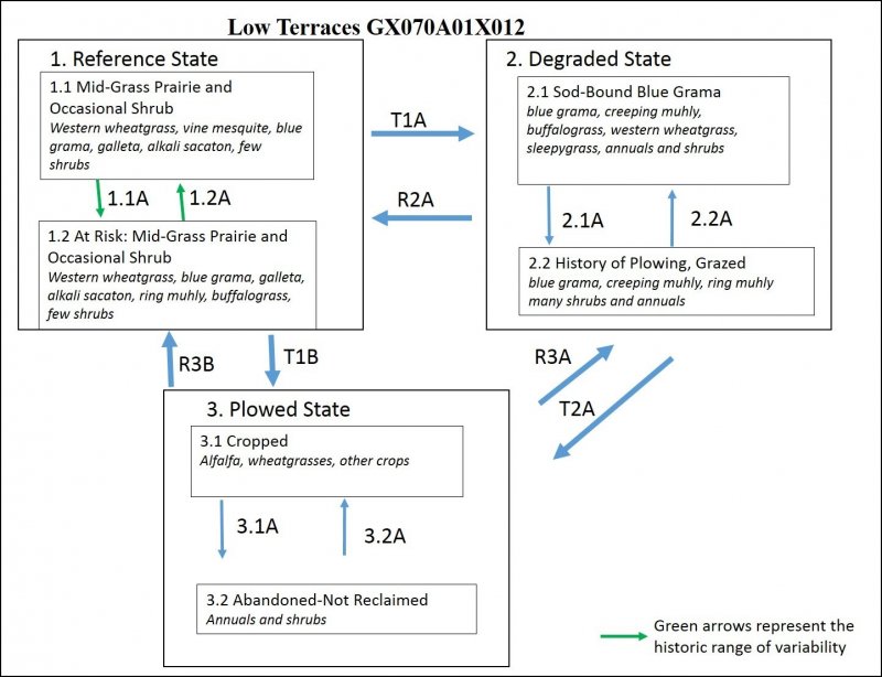 Model diagram