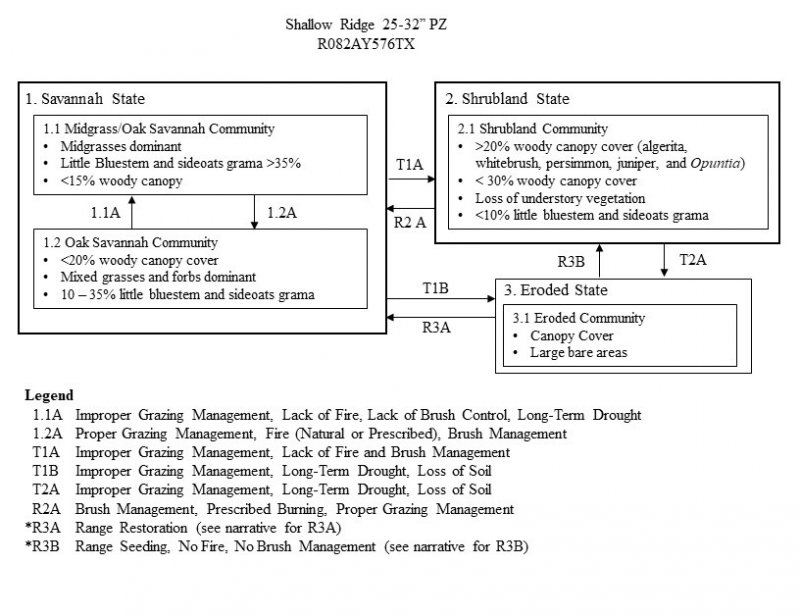 Model diagram