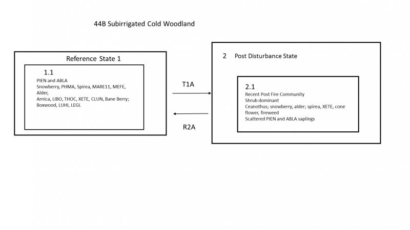 Model diagram