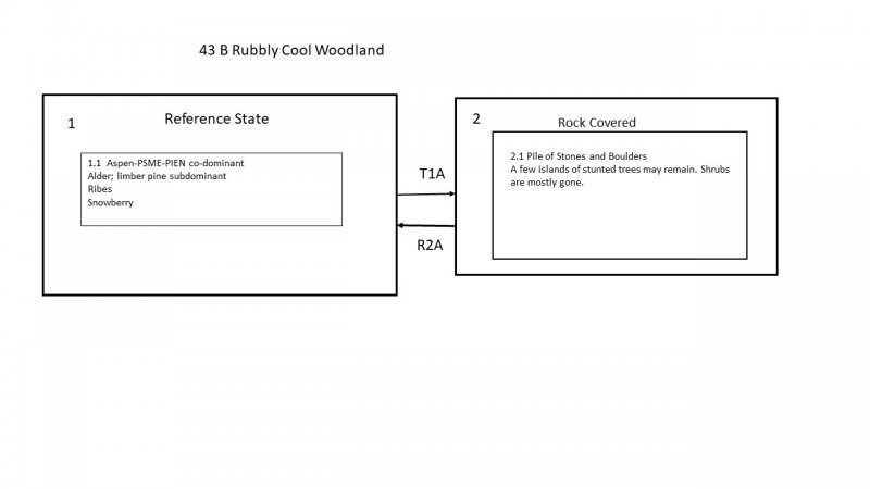 Model diagram