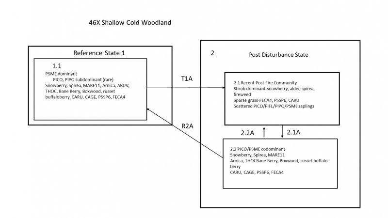 Model diagram