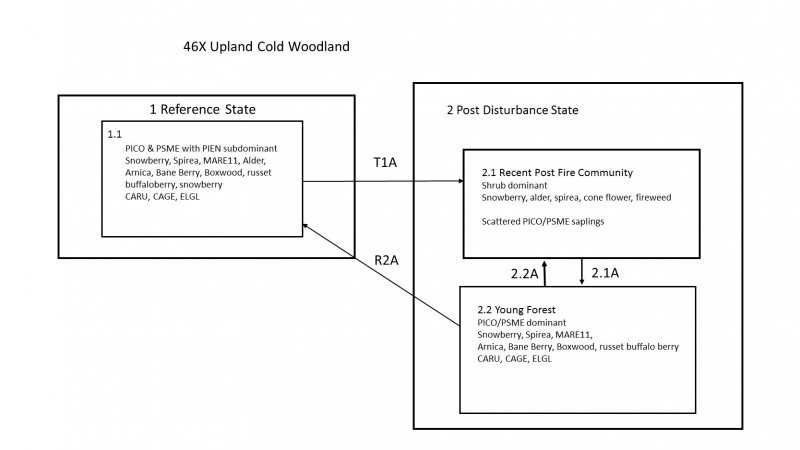 Model diagram