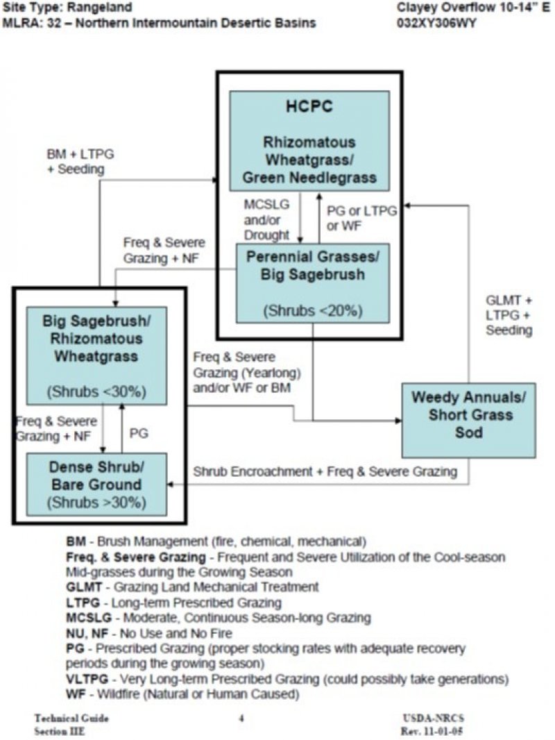 Model diagram