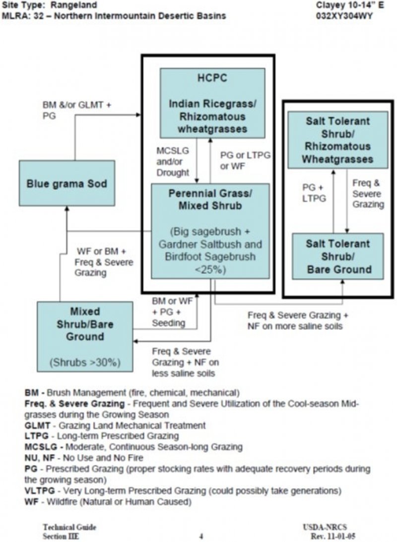 Model diagram