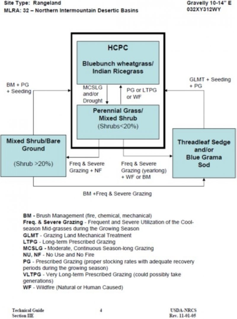 Model diagram