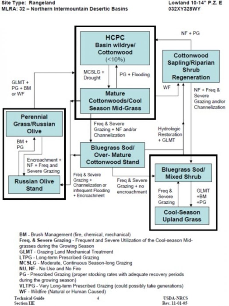 Model diagram