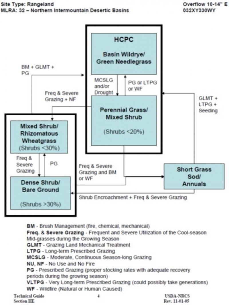 Model diagram