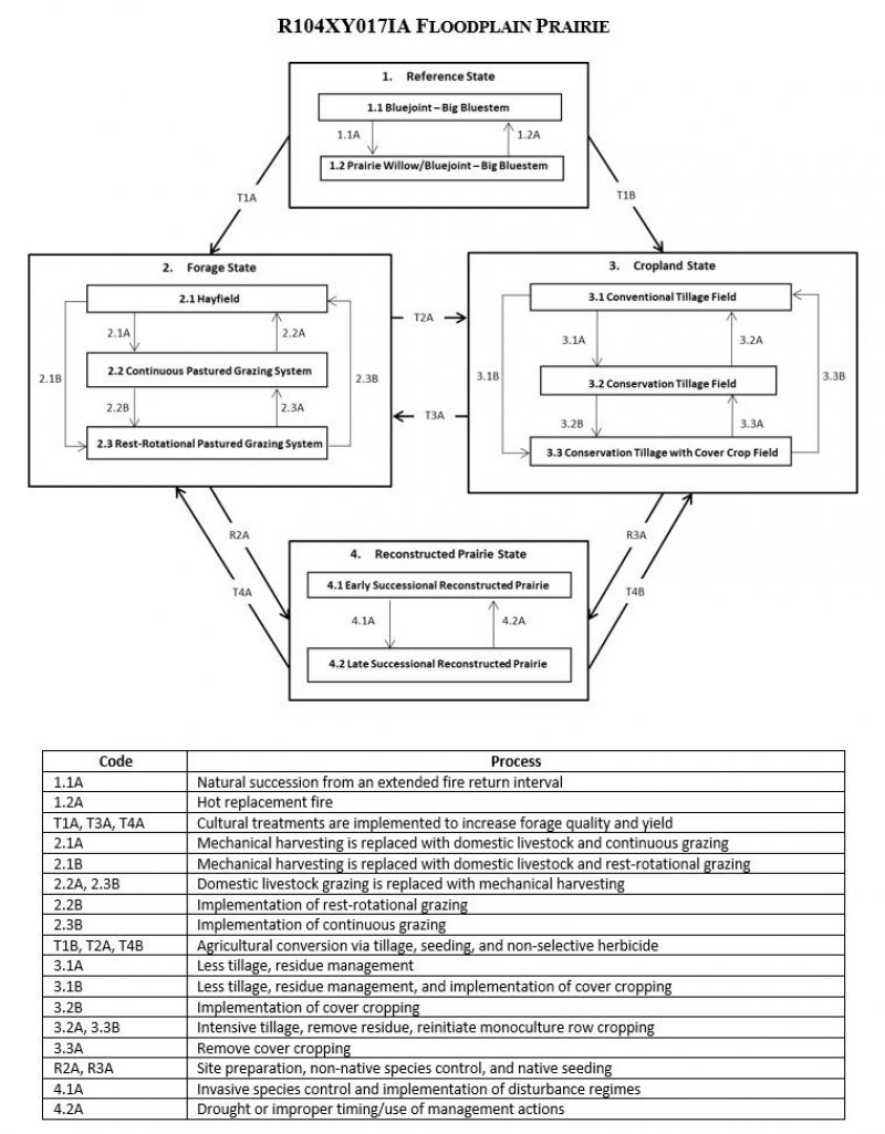 Model diagram