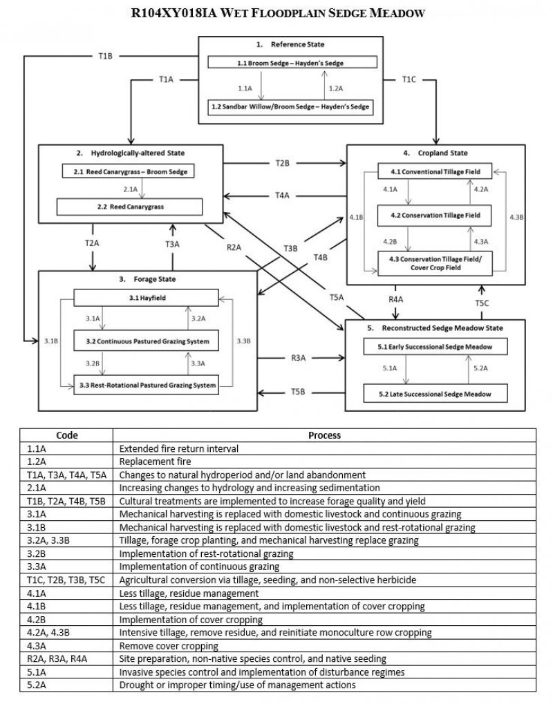 Model diagram