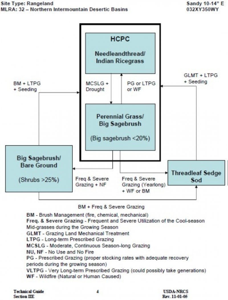 Model diagram
