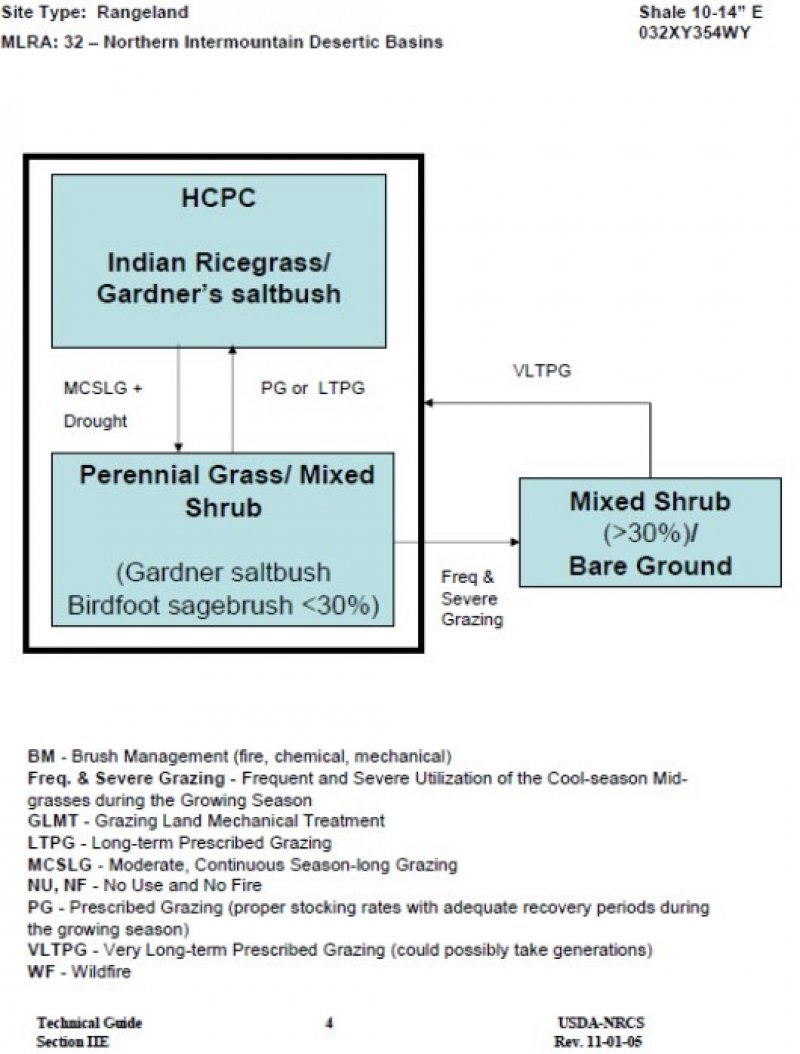 Model diagram