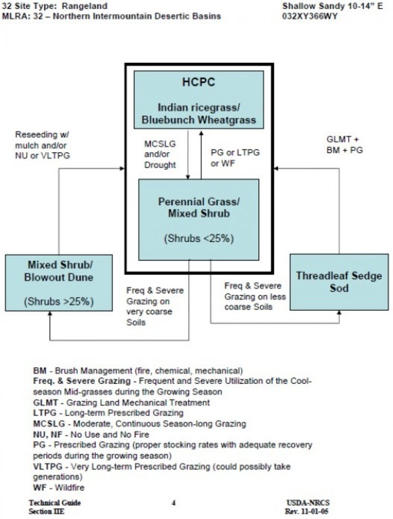 Model diagram