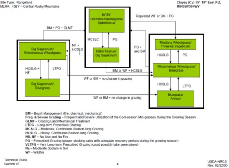 Model diagram