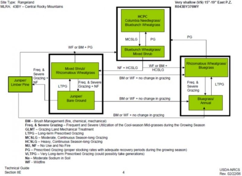 Model diagram