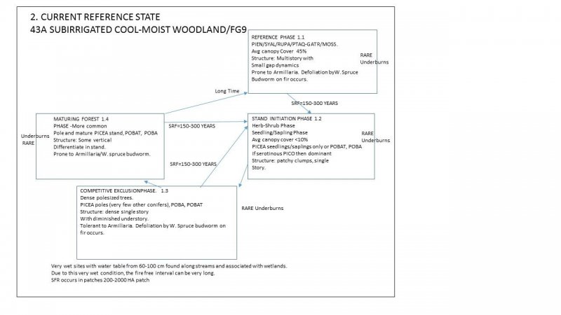 Model diagram