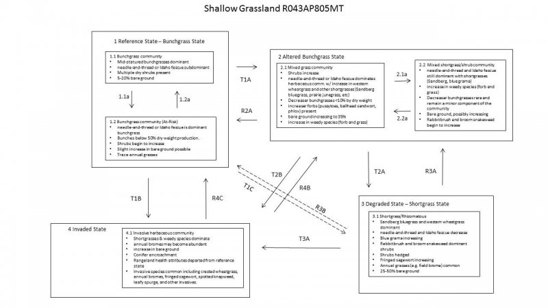Model diagram