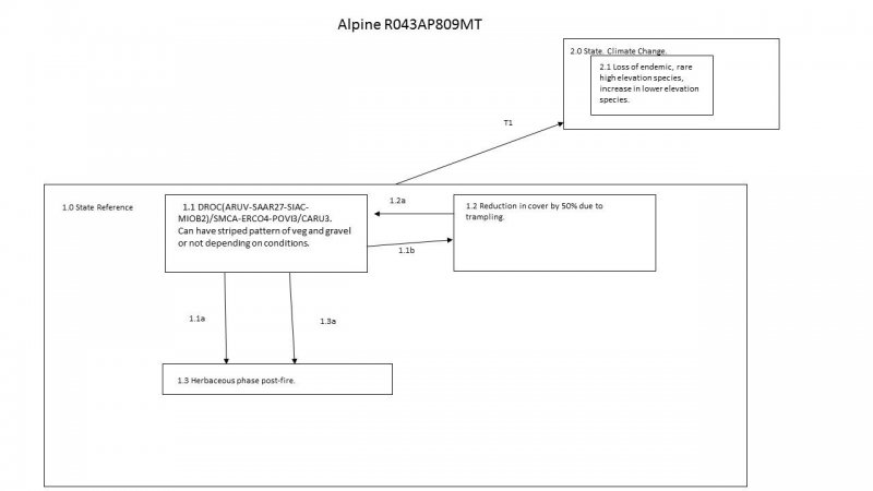 Model diagram