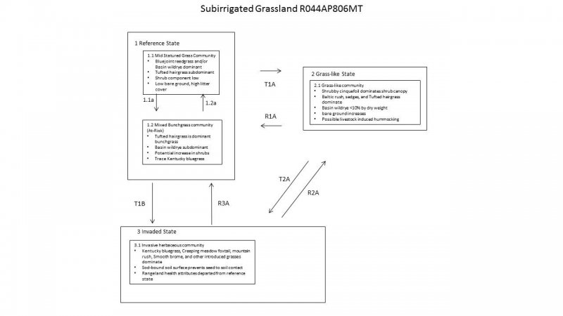 Model diagram