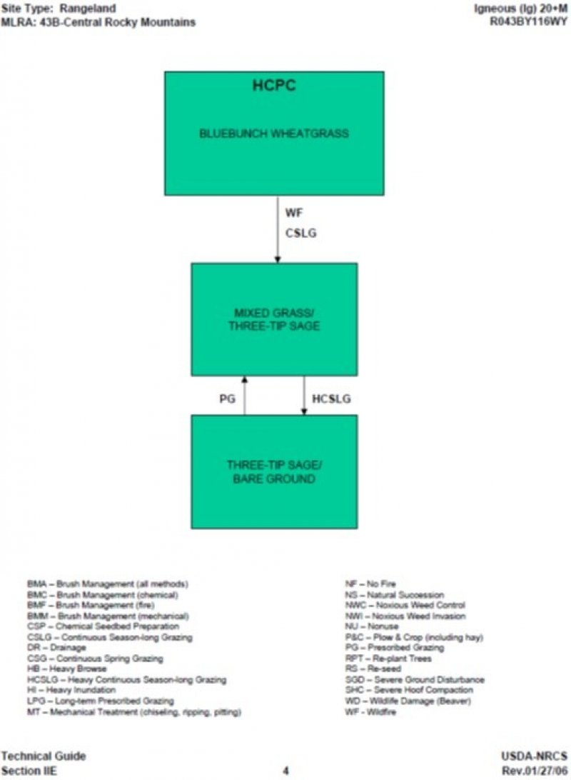 Model diagram