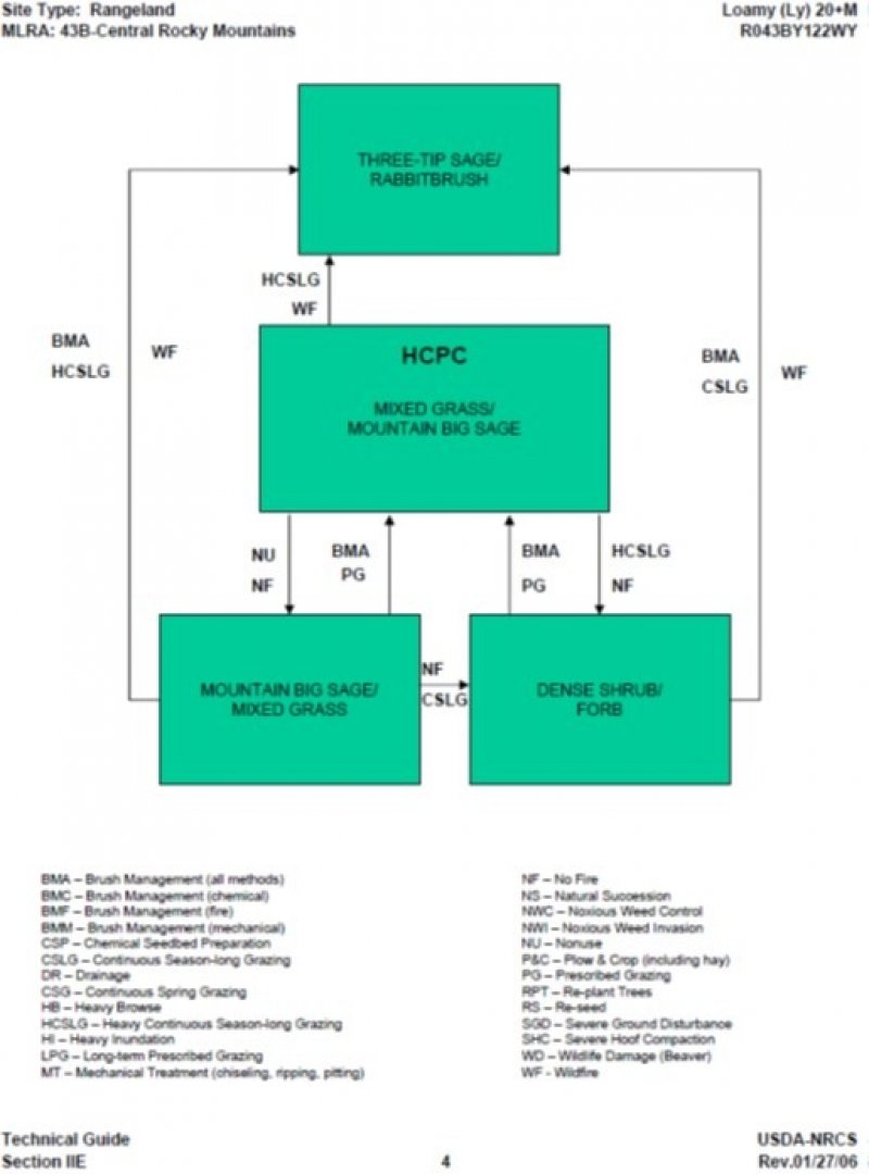 Model diagram