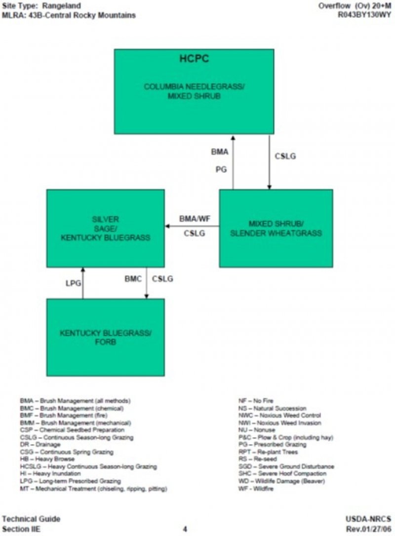 Model diagram