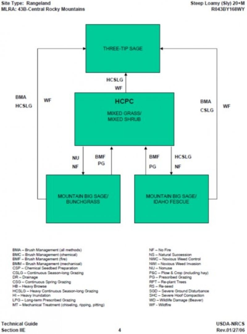 Model diagram