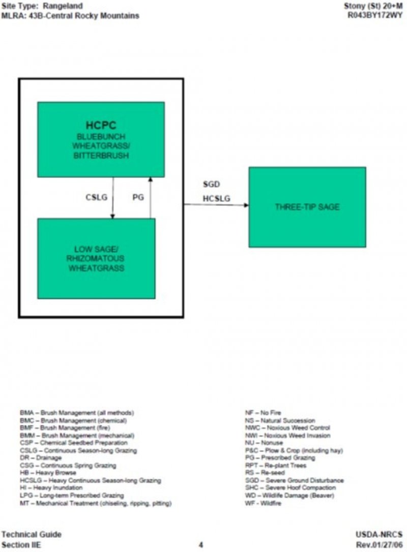 Model diagram