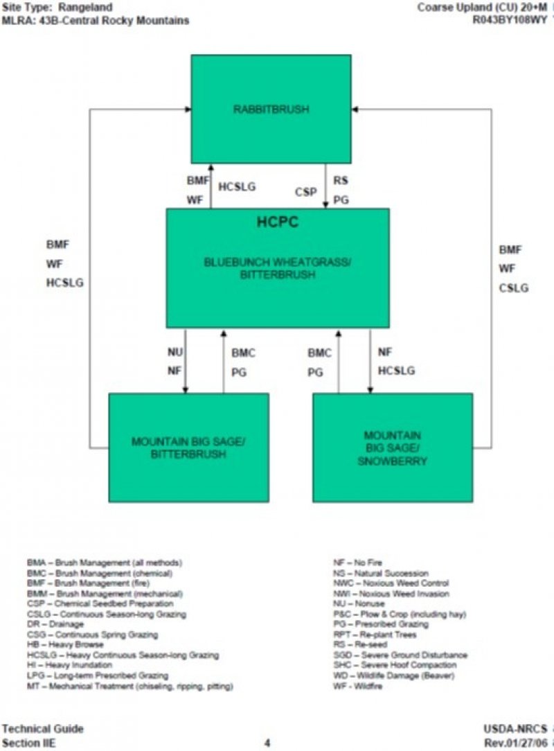 Model diagram
