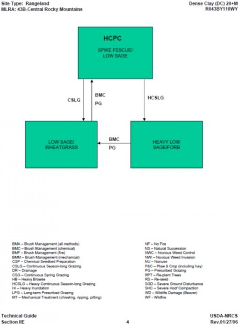 Model diagram