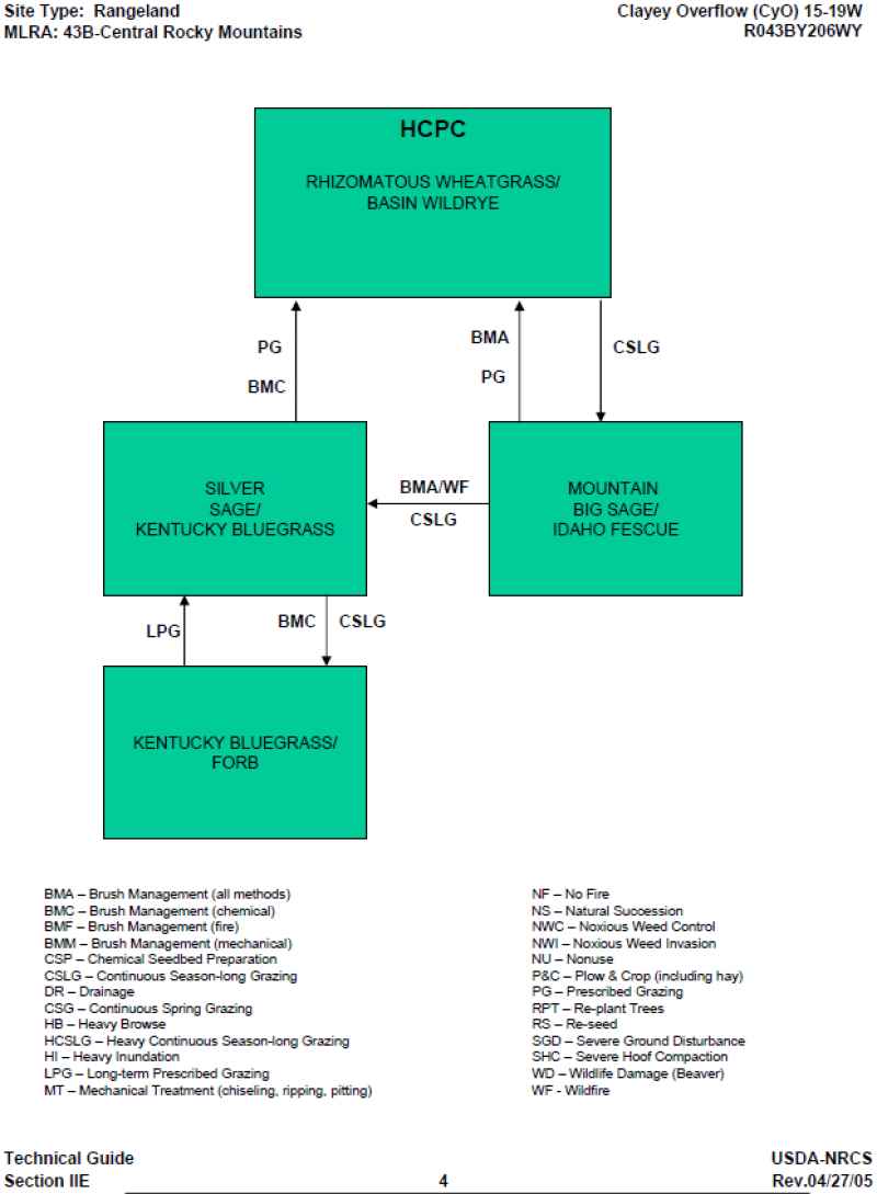 Model diagram