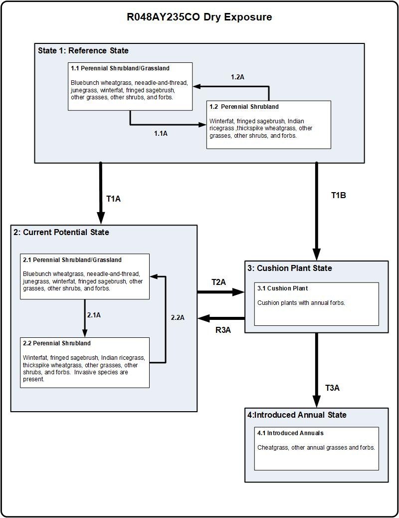 Model diagram