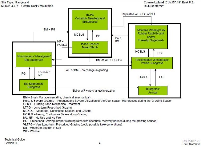 Model diagram